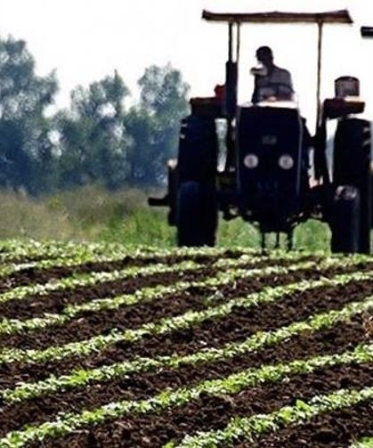 Çiftçilere bugün 94,3 milyon liralık tarımsal destekleme ödemesi yapılacak