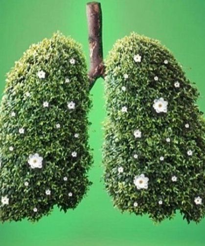 Yeşilay'dan bayramda "eksik olma" temalı kamu spotu