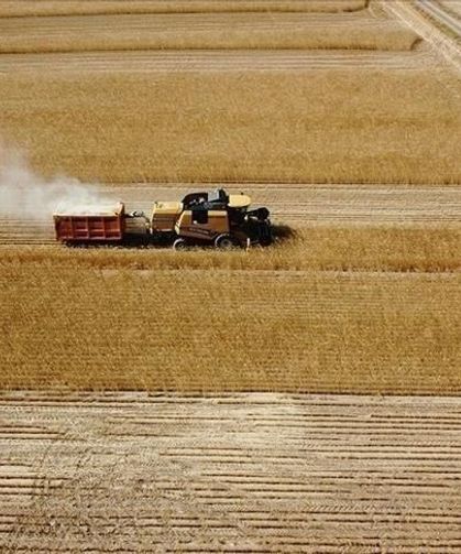 Çiftçilere 8,7 milyar lira tarımsal destekleme ödemesi bugün yapılacak