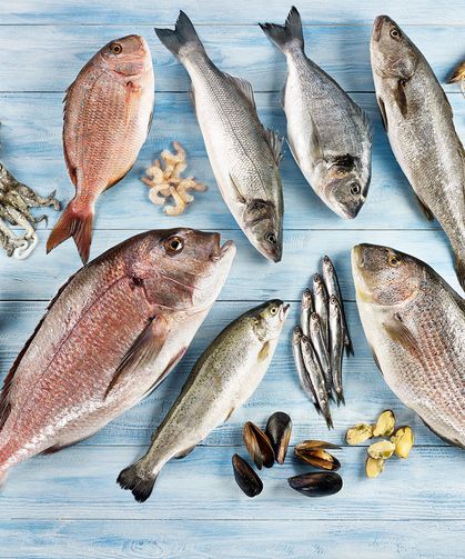 Levrek ihracatta liderliğini sürdürdü