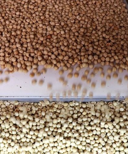 Fındık ihracatından 7 ayda 1 milyar 445 milyon doları aşkın gelir sağladı