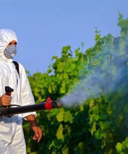 Bitki koruma ürünlerine yönelik B-Reçete, 1 Temmuz'dan itibaren 81 ilde uygulanacak