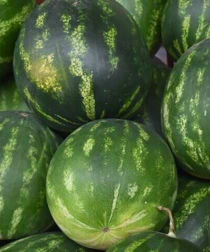 İstanbul'da mayısta en çok karpuz ve domates tüketildi