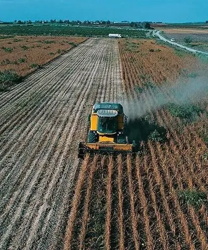 Çiftçilerin hesaplarına 195,6 milyon lira tarımsal destekleme ödemesi aktarılıyor