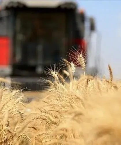 Küresel gıda fiyatları 3,5 yılın zirvesinde