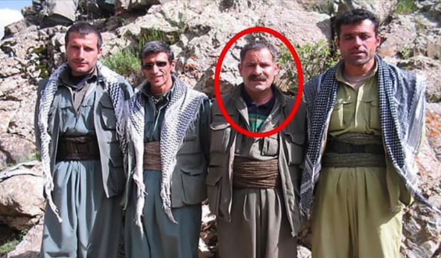 PKK'nın sözde silah sorumlusu terörist etkisiz hale getirildi