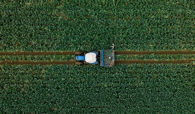 Nallıhan Belediyesinden çiftçilere destek