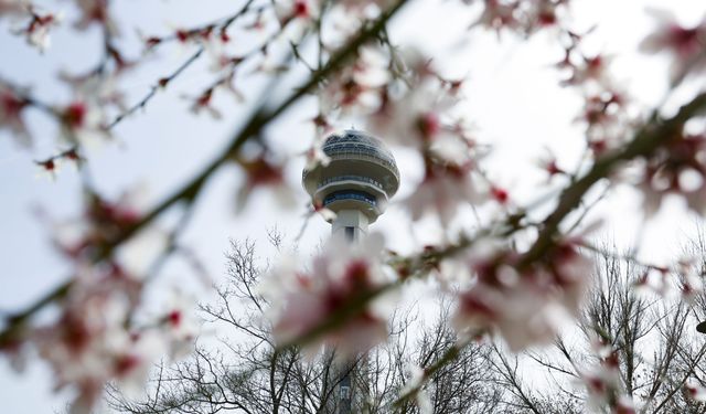 Ankara'da bugün bahar havası hakim
