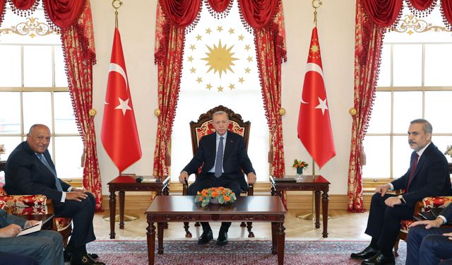 Cumhurbaşkanı Erdoğan, Mısır Dışişleri Bakanı Sameh Shoukry ile görüştü