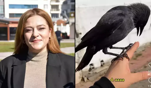 Üniversiteli Azra'nın karga ile videosu viral oldu