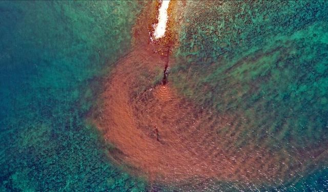 Didim'de kirli suyun arıtılmadan denize boşaltıldığı ihbarına inceleme