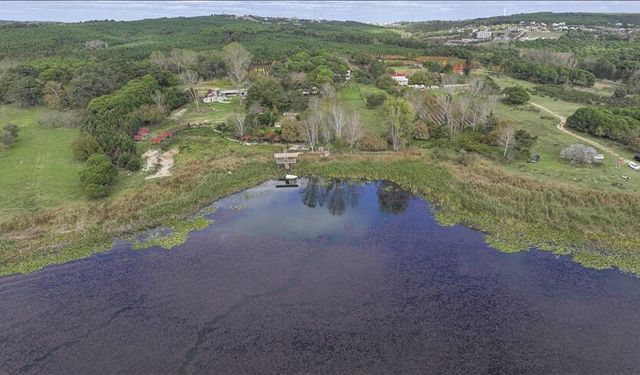 Terkos Gölü'ndeki doğanın renkleri dronla görüntülendi