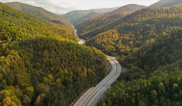 Zonguldak ormanları sonbahar renklerine büründü