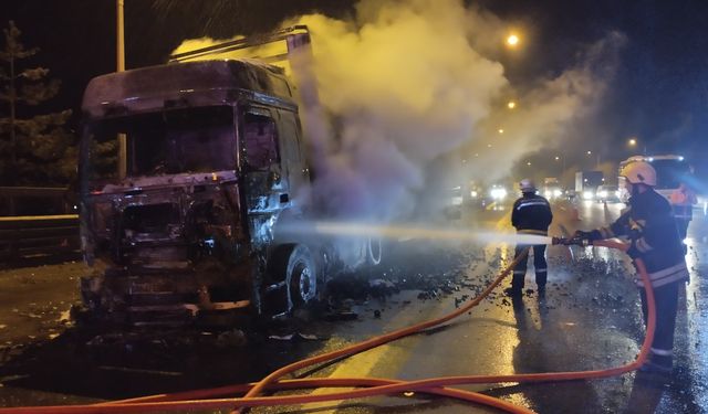 Bolu Dağı'nda mangal kömürü yüklü TIR alev alev yandı