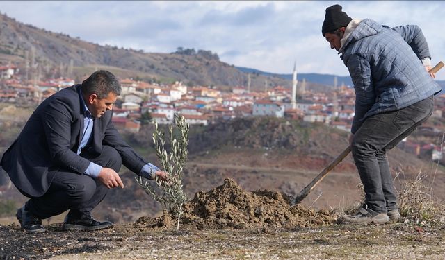 Yaylabaşı köyü doğan her bebek için dikilen fidanlarla güzelleşiyor