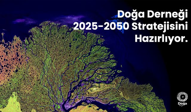 Doğa Derneği, ortaklarıyla birlikte 2025-2050 stratejisini hazırlıyor