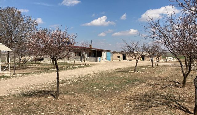 3 yaşındaki kızını boğazını keserek öldüren anneye 'iyi hal' indirimiyle müebbet hapis cezası
