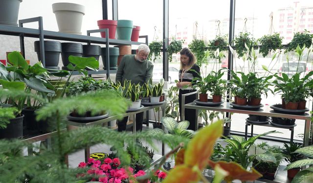 Etimesgut Çiçek Hastanesinde yeni bitki türleri raflardaki yerini aldı
