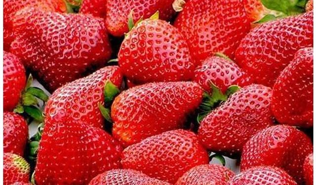 Vitamin deposu çilek