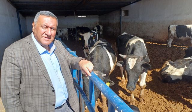 Gürer: Böyle giderse kurban kesmekte zorlanırız