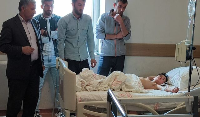 Kars'ta 'güzelavrat' otu yiyen 8 çocuk zehirledi