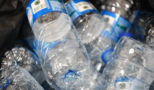 Pet şişelerle yeni meyve ağaçları yetişecek
