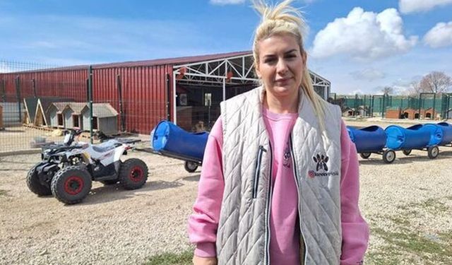 Sokak hayvanları derneğine 'para aklama' davası; 16 sanığa 12 yıl 3'er aya kadar hapis istemi