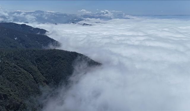 Ordu'da etkili olan sis hava ulaşımında aksamaya neden oluyor