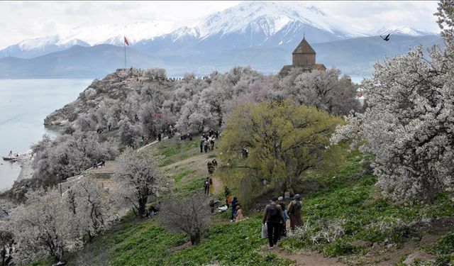 Van'da "3. Akdamar Adası Badem Çiçeği Festivali" sürüyor