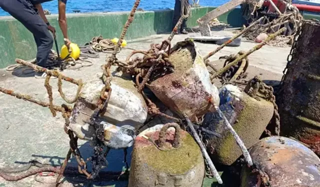 Bodrum’da denizden 50 ton katık çıkartıldı