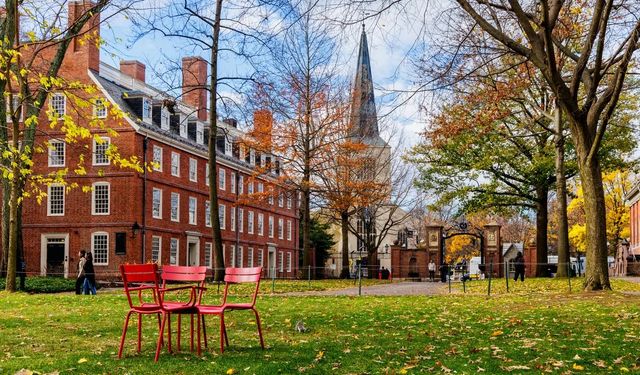Harvard Üniversitesi, Trump yönetimine dava açtı