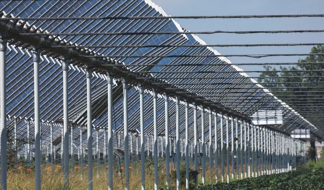 İklim değişikliğinin tarıma etkisi güneş enerjisiyle azalacak