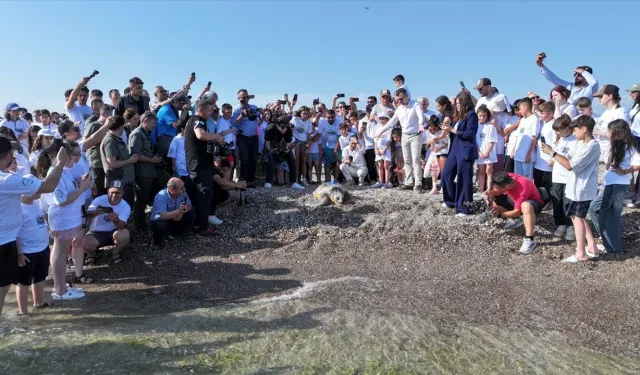 Uydu izleme cihazı takılan "Flora" ve "Fauna" adlı caretta carettalar denize bırakıldı