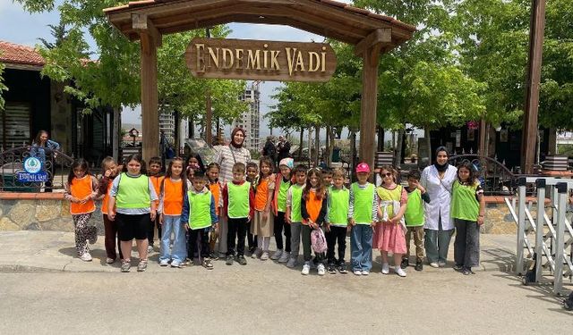 Mektep yuvası Endemik Vadi