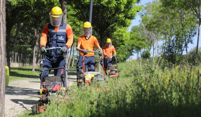 Çankaya'da "yeşil mesaisi"