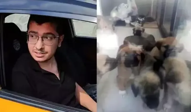 Sahiplendiği köpekleri öldürdüğü iddia edilen doktor hakkındaki iddianame kabul edildi