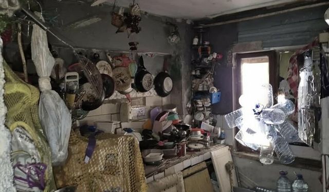 Aydın'da bir evden 4 kamyon çöp ile 12 kedi ve 3 kaplumbağa çıktı