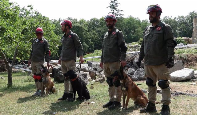 9 ülkeden 27 arama kurtarma köpeği İstanbul'daki şampiyonada