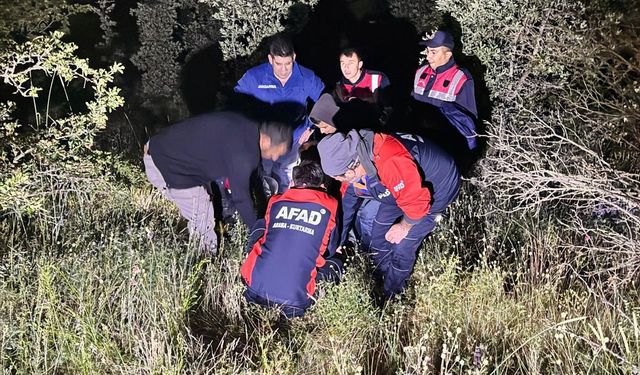Kaybolan zihinsel engelli kadın, ormanda bulundu
