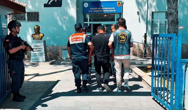Kayseri'de köpek dövüştüren 8 kişiye gözaltı
