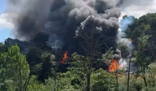 TIR'daki yangın ormana sıçradı; 10 dönüm alan zarar gördü
