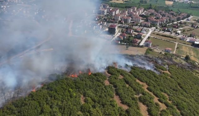 Tokat’ta maki yangınında 15 dönüm alan zarar gördü