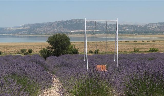 Burdur'un "mor bahçeleri" ziyaretçilerine görsel şölen sunacak