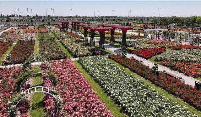 Konya'da 190 türün bulunduğu Karatay Mevlana Gül Parkı yeni sezonunu açtı