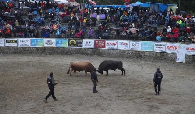 Rize'de "29. Çamlıhemşin Ayder Kültür, Sanat ve Doğa Festivali" sona erdi