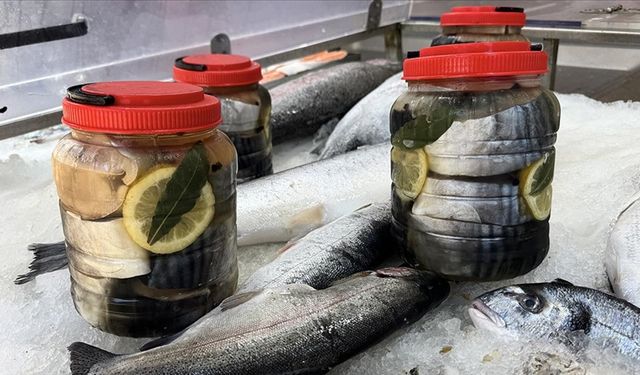 Av sezonunda tuzlanan palamutlar yazın tezgahları süslüyor