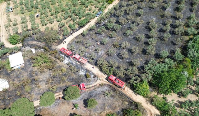 Zeytinlikteki kulübede çıkan yangına helikopterle müdahale edildi