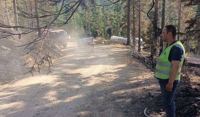 Pursaklar Belediyesinden orman yangınlarına karşı seferberlik