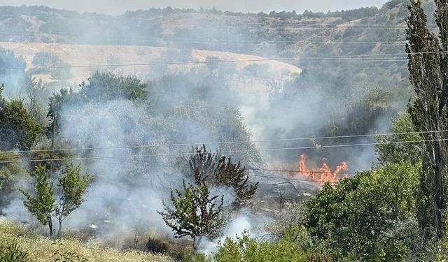 Güdül'de otluk alanda çıkan yangın söndürüldü