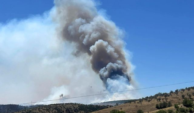 Eymir’de yangın nöbeti